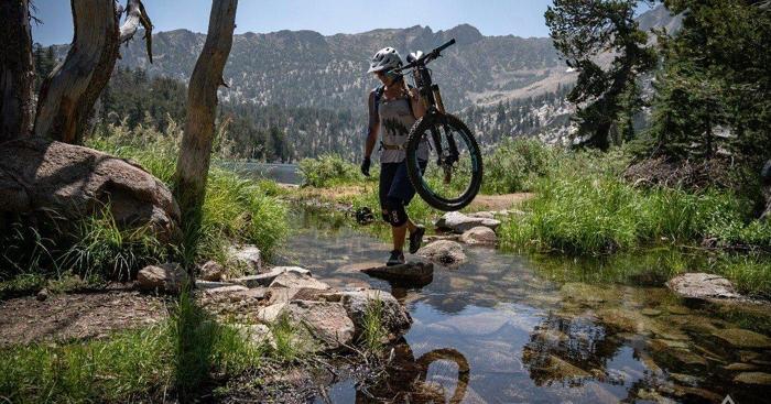 Social media post by starthaus