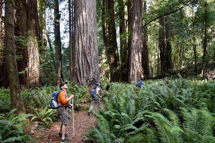 Social media post by 