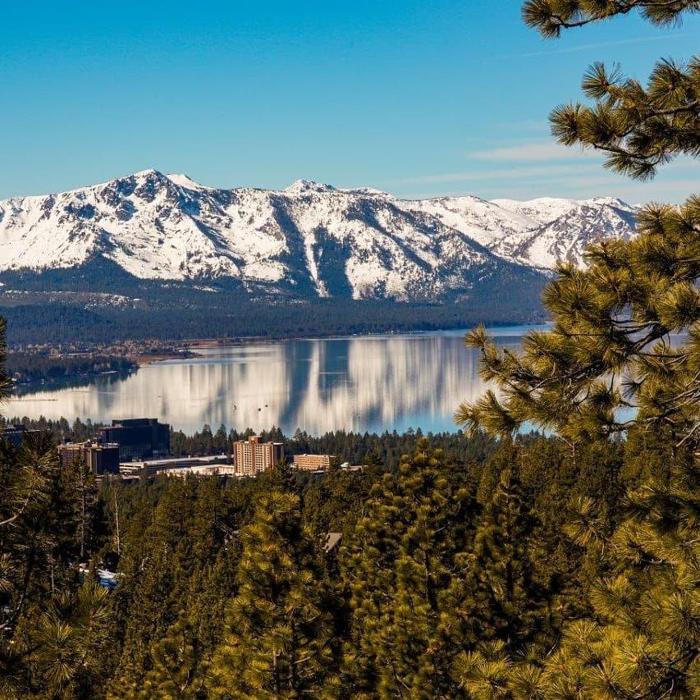 Social media post by sierra_golden_bear