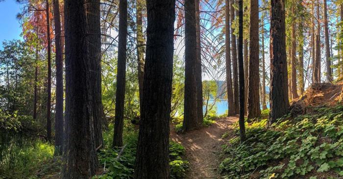 Social media post by christophotoyo