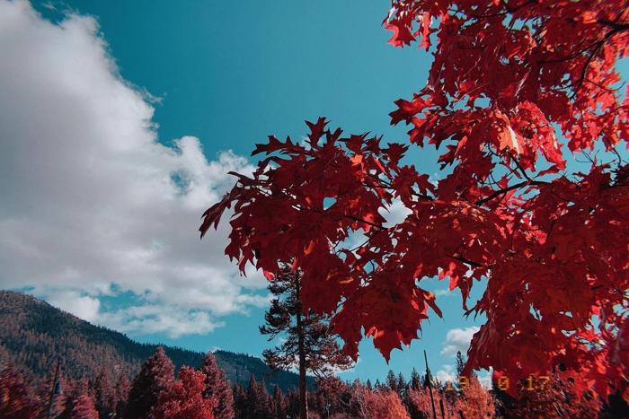 Social media post by myusernameisadam