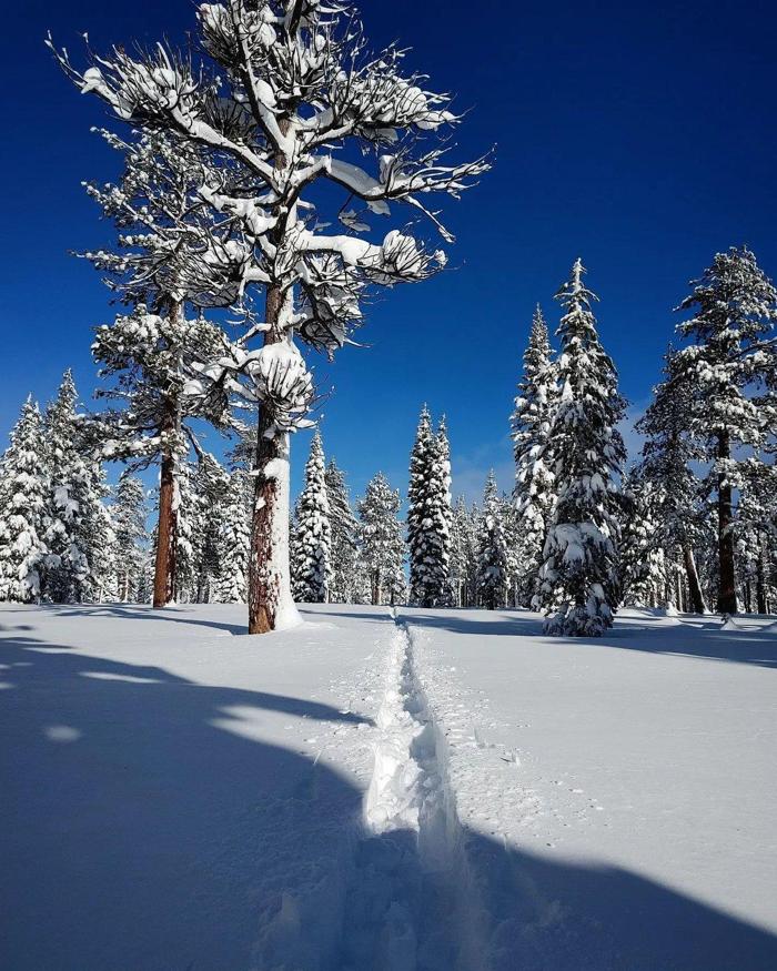 Social media post by jaredmanninen