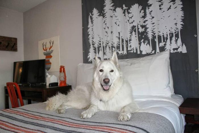 Social media post by mark_and_myas_adventures