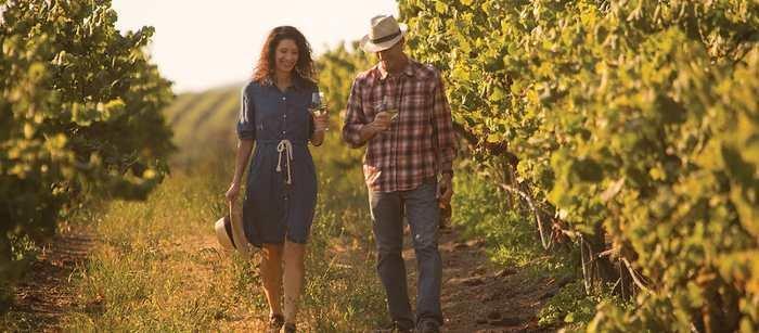 Social media post by 