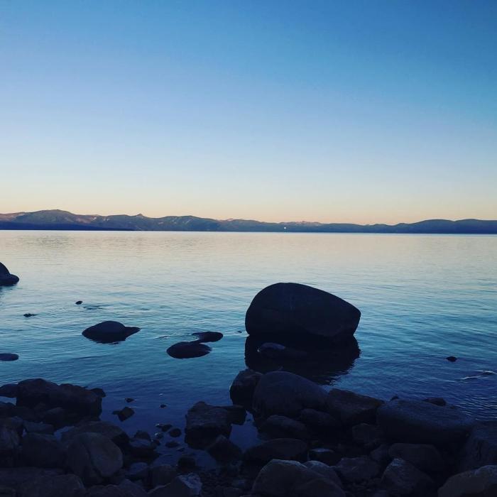 Social media post by monkey_dew