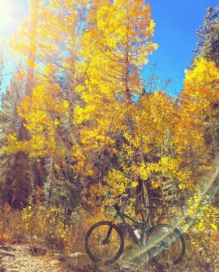 Social media post by whitneypeakhotel