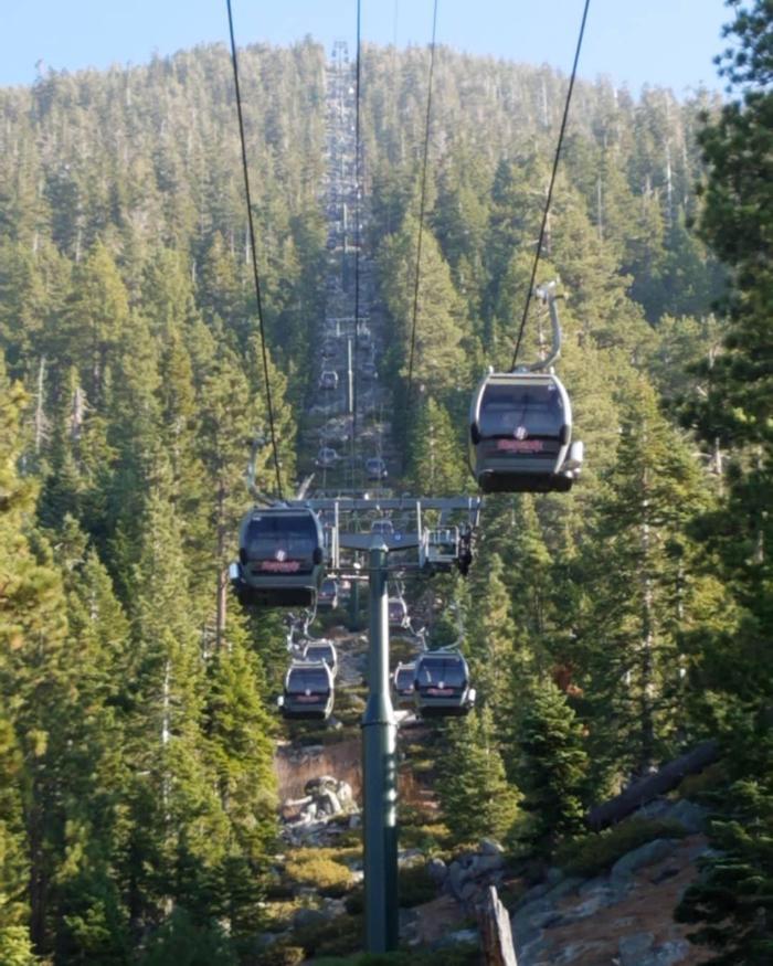 Social media post by artistmichael.com_