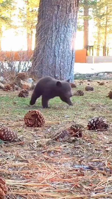 Social media post by rickyqdance