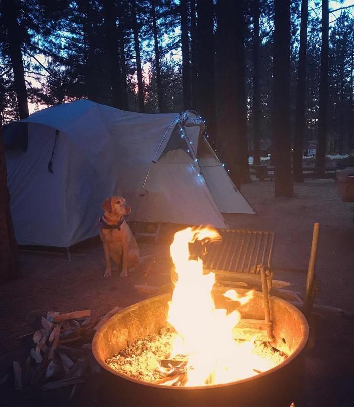 Social media post by infinita7