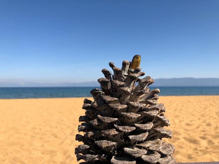 Social media post by andromeda_stones