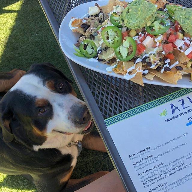 Social media post by swiss_mister_oda