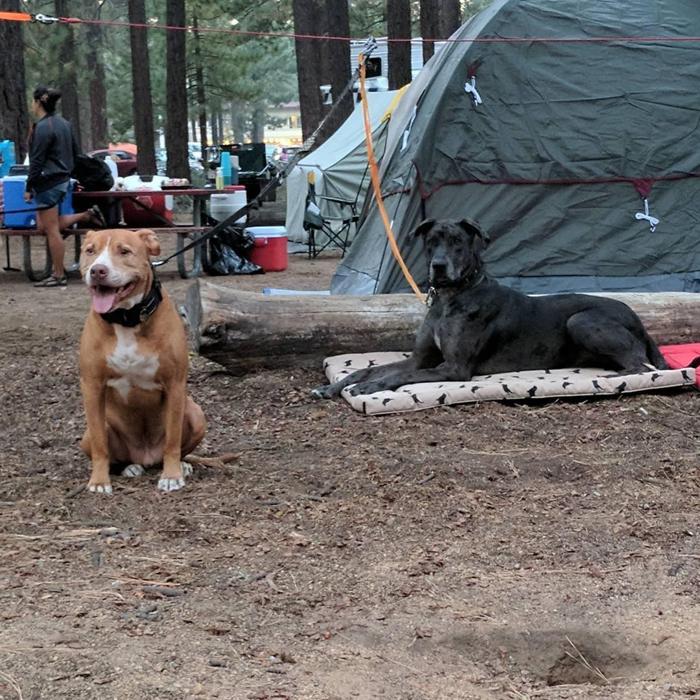 Social media post by kanethepitty_n_jaxthedane