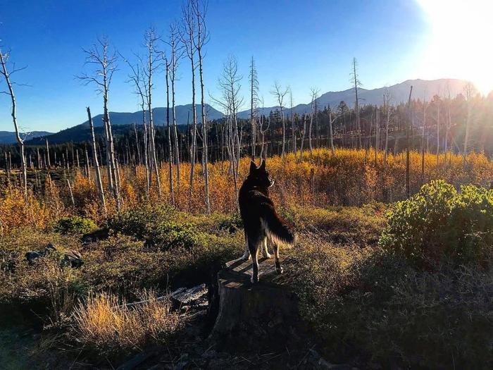 Social media post by carenandatka