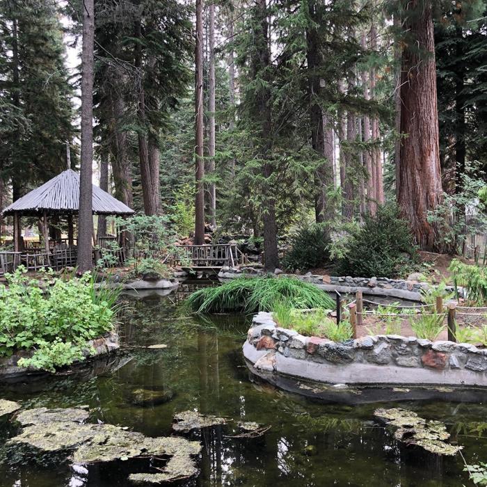 Social media post by sandiegoadventurekids