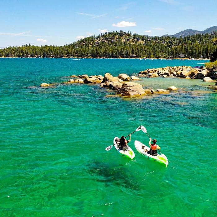 Social media post by vic_schaefer