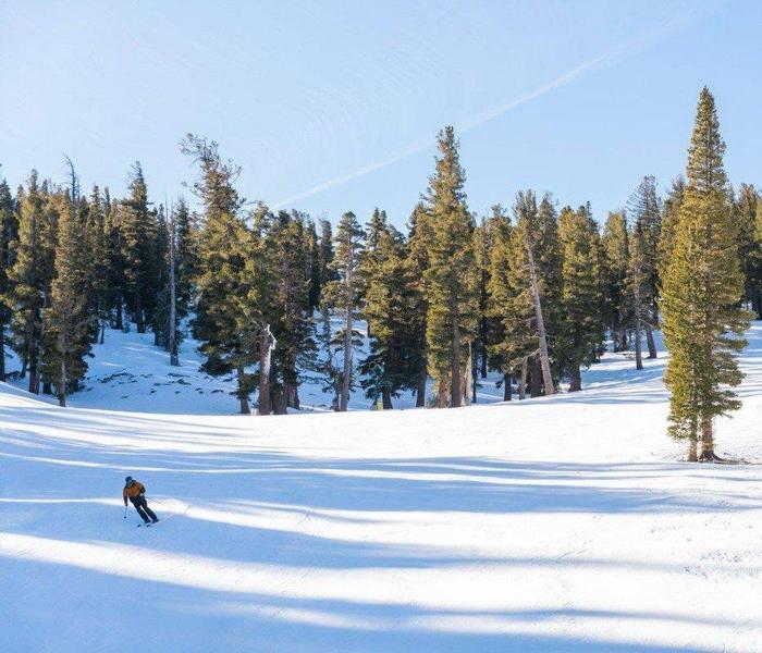 Social media post by skiheavenly