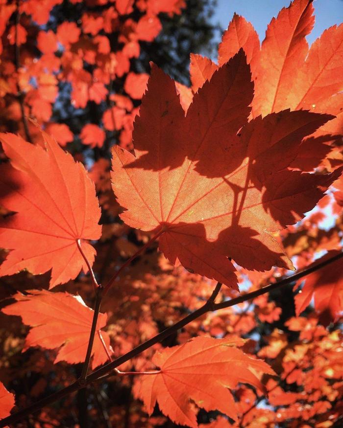 Social media post by jenpengpics