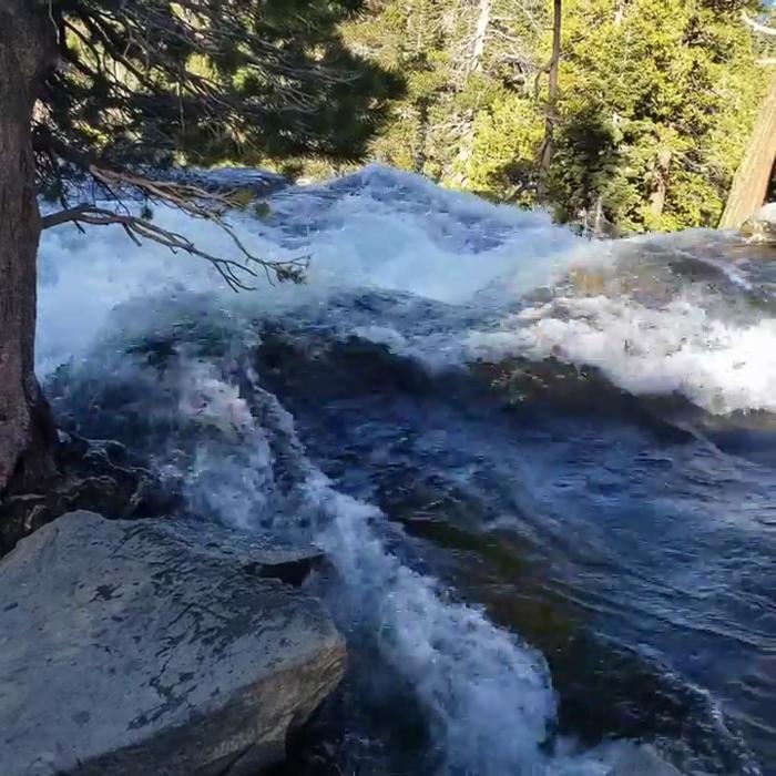 Social media post by t.wags805