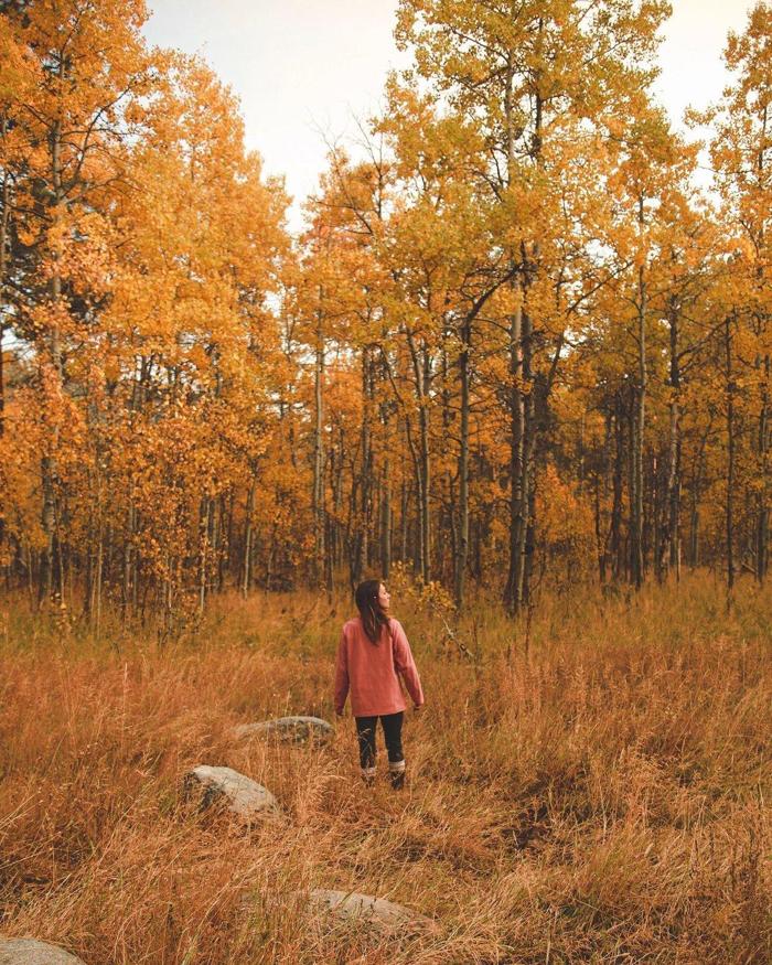 Social media post by therenosparksrealtor