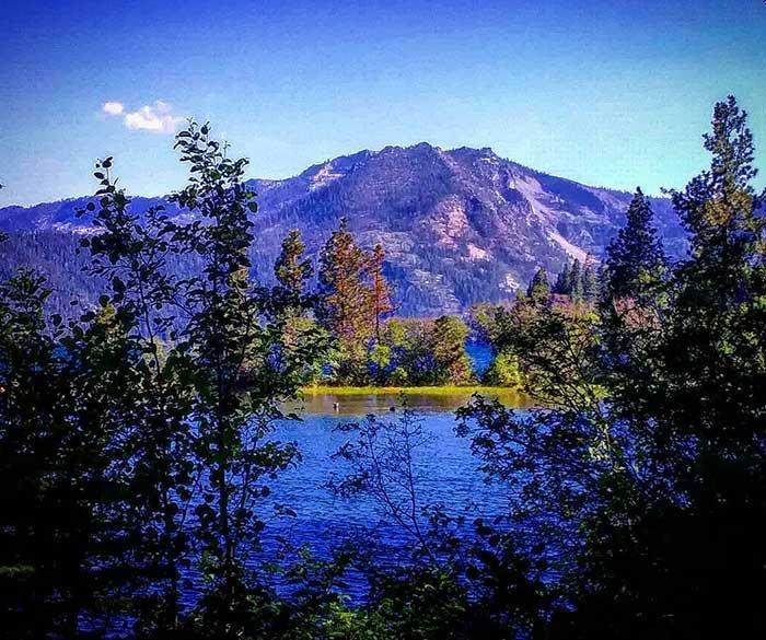 Social media post by 