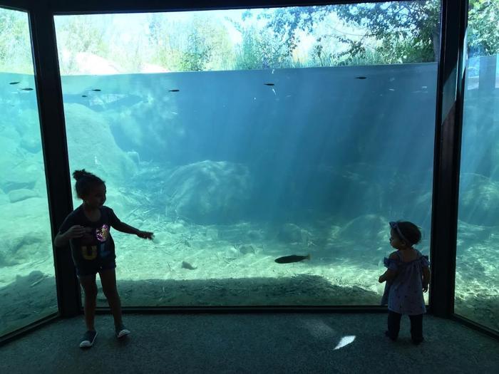 Social media post by bay_explorer