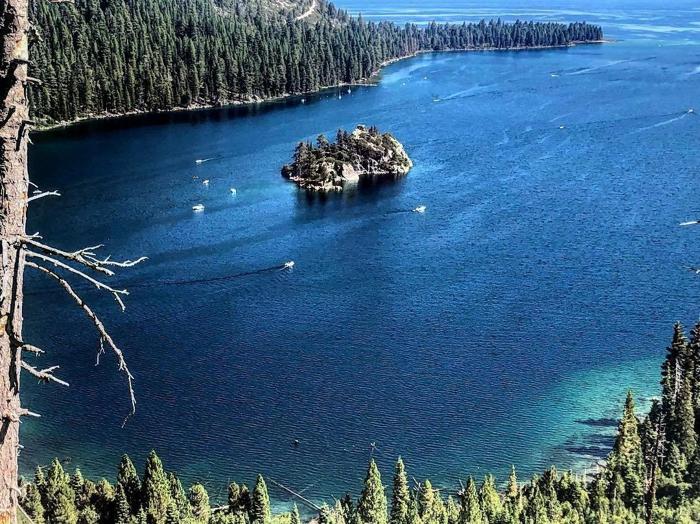 Social media post by euni31