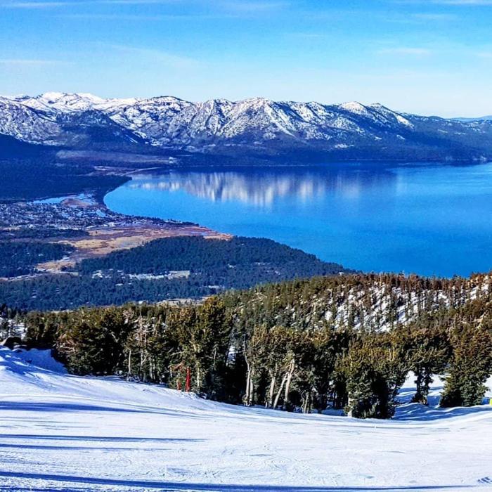 Social media post by therealashleyfeder