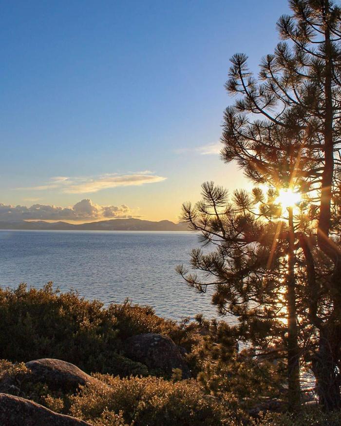 Social media post by ileana_gn