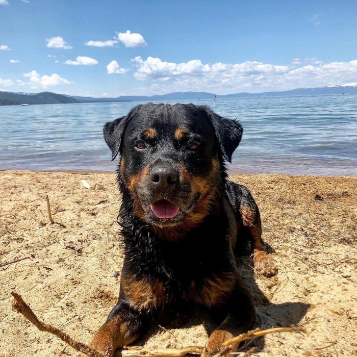 Social media post by craiglife8