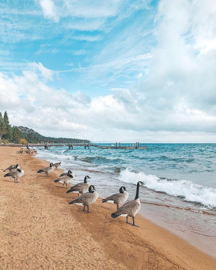 Social media post by elvianathio