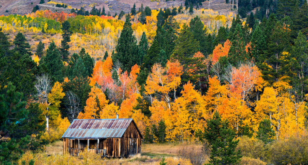 lake tahoe in fall at hope valley