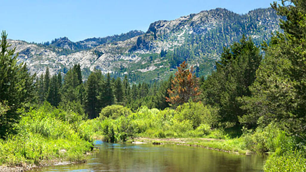 Washoe Meadows State Park