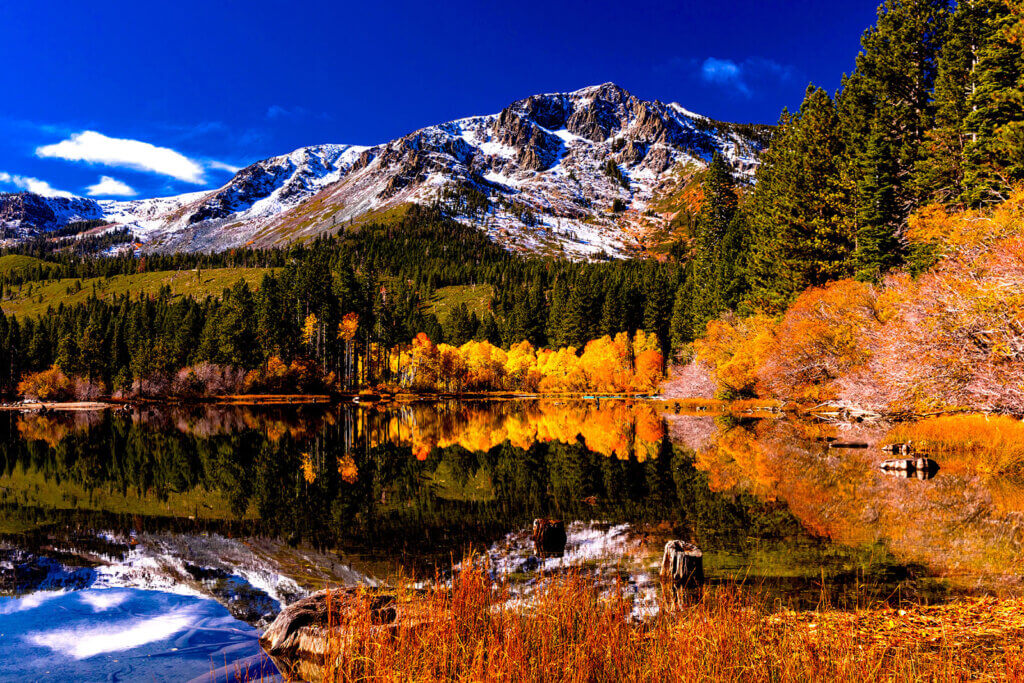 Lake Tahoe Fall Colors at Fallen Leaf Lake