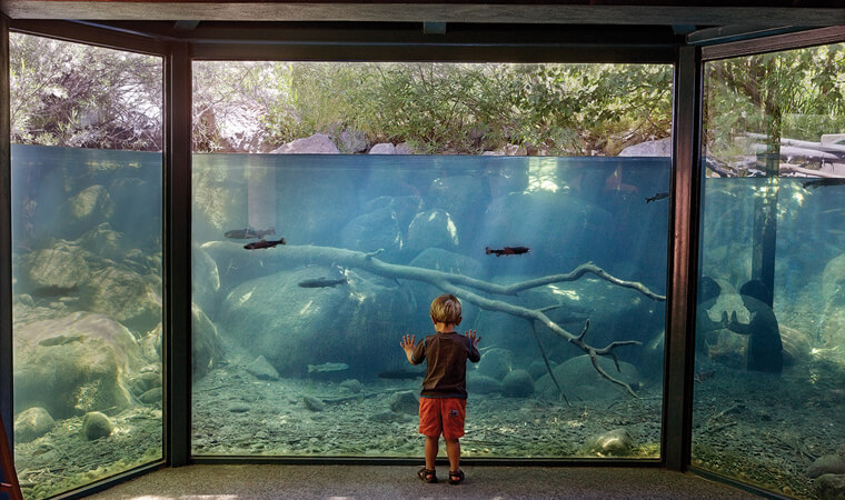 Taylor Creek Stream Profile Chamber Lake Tahoe