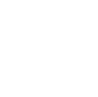 soccer ball icon